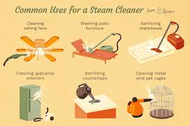 Tips For Using A Portable Steam Cleaner