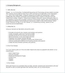 Business Plan Template For Service Company Consultancy Business Plan