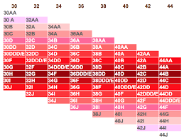 Bra Sister Size Chart Find Your Bra Size Equivalents In