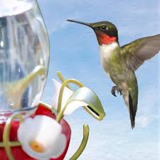 How To Make Hummingbird Food Sugar