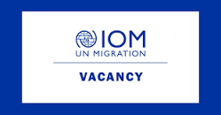 Image result for IOM Jobs in Cox's Bazar