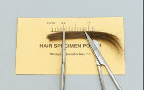 Hair Follicle Drug Test