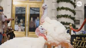 The president of the united states is presented with a live domestic turkey by the national turkey federation (ntf). Presidential Turkey Pardon Names Of Iowa Birds Vying For Trump S Revealed