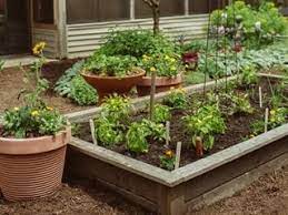 raised bed garden design how to layout