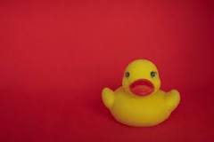 what-does-a-rubber-duck-on-a-car-mean