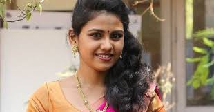 Glamorous Chennai Girl Rahaana Long Hair Photos In Traditional Red Sari - Actress Doodles