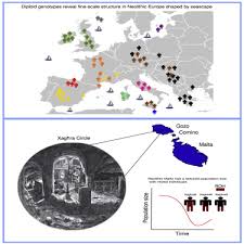 ancient maltese genomes and the genetic