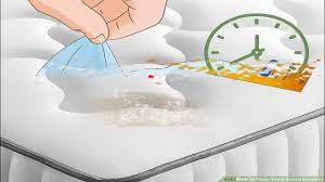 how to clean vomit from a mattress