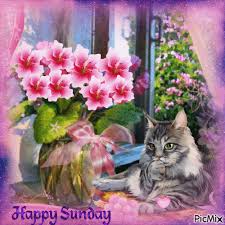 happy sunday flowers gif pictures
