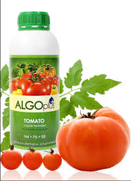 algoplus tomato natural liquid