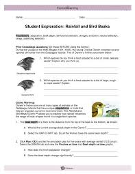 student exploration rainfall and bird