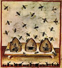 A kit can help you save your life or the life of someone else. Beekeeping Wikipedia