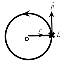 Rotating With Constant Angular Momentum