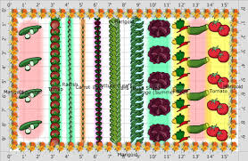Small Vegetable Garden Plans Layouts