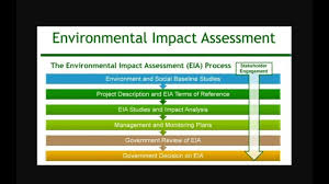environmental impact essment