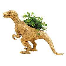 dinosaur plant pots for 5 morrisons