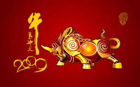 Get the best chinese new year greetings from here and wish to your friends and family. Bull Wallpaper Chinese New Year Ox Backgrounds 1920x1200 Wallpaper Teahub Io