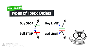 types of forex orders babypips com