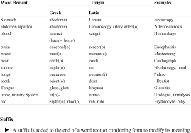 Terms Having Greek And Latin Origin Download Table