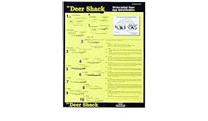 Deer Age Identification Poster