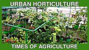 Urban Horticulture Gardening Guide