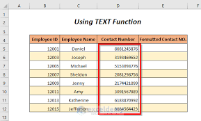 phone number format in excel 8