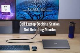 dell docking station devices not