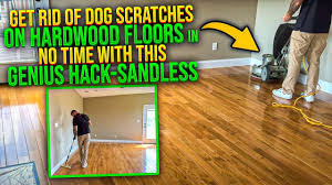 dog scratches on hardwood floors