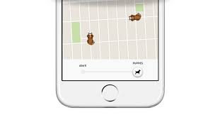 Request the 'puppies' option in your app. Uberpuppies Are Coming To The Big Easy Uber Blog