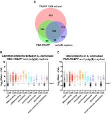 Defining The Rna Interactome By Total Rna Associated Protein