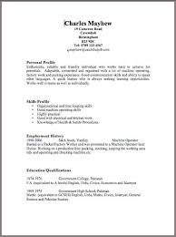 Professional Resume Writing Software   Free Resume Example And    