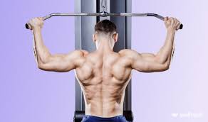 back workouts with cables for a