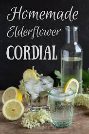 how to make elderflower cordial the