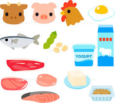 タンパク質を多く含む食品のイラストセット イラスト素材 [ 4736462 ] - フォトライブラリー photolibrary
