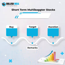 multibagger stocks for next 10 years in