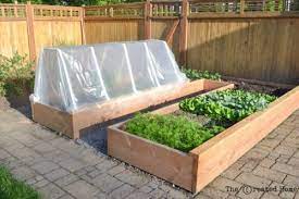 raised garden bed and frost cover