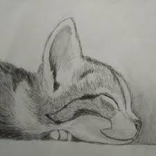 Desen in creion cu casa | how to draw a cute house pencil drawing invata sa desenezi cu mine o casuta frumoasa in creion pe. Benim Kedi Cizimim Pencil Drawings Of Animals Drawings Cute Cat Drawing