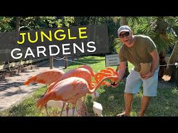 Jungle Gardens Sarasota Florida