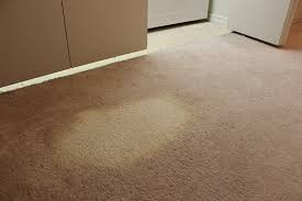 bleach stain repair services carpet