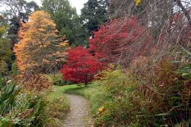 mount usher gardens dublin garden trail