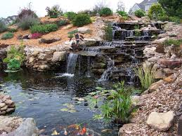 Create a waterfall with a pond if you plan on keeping plants or fish. Pond Building Process At Backyard Blessings Part 2 Backyard Blessings