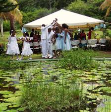 weddings and events botanical gardens