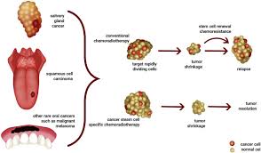 cancer stem cell in cancers