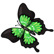 Image result for free clip butterfly