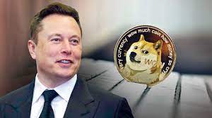 Musk later played a character on snl's weekend update segment, who struggled to that's what happened in april, when musk tweeted doge barking at the moon and shared a photo. Dogecoin And Elon Musk S Cryptic Snl Tweet Fox Business