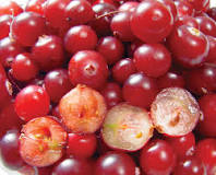 Which fruits are berries?