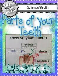 Dental Health Parts Of Your Teeth Anchor Chart
