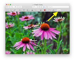 how to crop image on mac preview macos