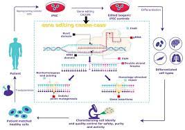 crispr cas9 gene editing protocol for