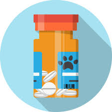 Dog Safe Human Medications